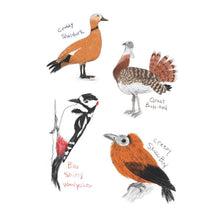 Load image into Gallery viewer, Field Guide to Dumb Birds Sticker Book - Tigertree