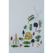 Load image into Gallery viewer, Venus Trinket Tray - Tigertree