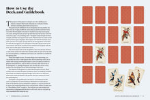 Load image into Gallery viewer, Vintage Birds Guidebook & Matching Game - Tigertree