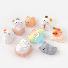 Load image into Gallery viewer, Cozy Cat Blind Box