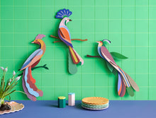 Load image into Gallery viewer, Paradise Bird 3D Kit- Tinjil - Tigertree
