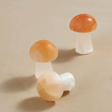 Load image into Gallery viewer, Selenite Mushroom - Tigertree