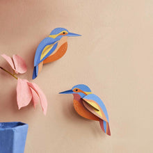 Load image into Gallery viewer, Kingfishers Kit - Tigertree