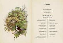 Load image into Gallery viewer, Vintage Birds Guidebook & Matching Game - Tigertree
