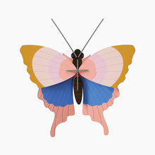 Load image into Gallery viewer, Gold Rim Butterfly Kit - Tigertree