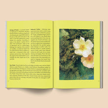 Load image into Gallery viewer, Fruit of Mythic Dreaming: Imagined Folklore - Tigertree