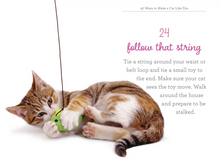 Load image into Gallery viewer, 97 Ways to Make a Cat Like You