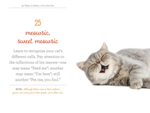 Load image into Gallery viewer, 97 Ways to Make a Cat Like You