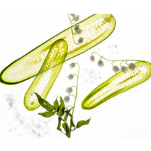 Load image into Gallery viewer, Gentle Mist Lily Of The Valley Ultra-Soothing Hand Sanitizer