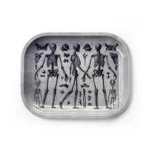 Load image into Gallery viewer, Metal Skeleton Diagram Tray - Tigertree