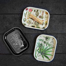 Load image into Gallery viewer, Metal Skeleton Diagram Tray - Tigertree