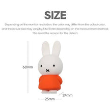 Load image into Gallery viewer, Miffy Color Carabiner Keychain