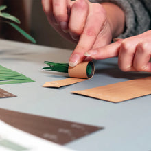 Load image into Gallery viewer, Paper Plants Kit - Tigertree