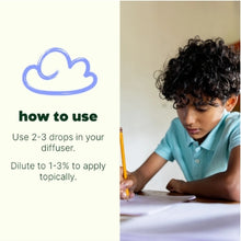Load image into Gallery viewer, Hocus Focus KidSafe Essential Oil Blend- 10ml - Tigertree