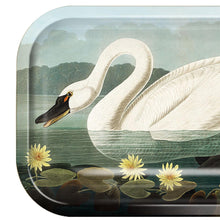 Load image into Gallery viewer, Small Metal Audubon Swan Catchall Tray - Tigertree