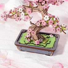 Load image into Gallery viewer, Wooden Puzzle: Sakura Bonsai - Tigertree