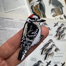 Load image into Gallery viewer, Downy Woodpecker Patch
