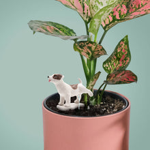 Load image into Gallery viewer, Pee My Plants Dog Watering Decoration - Tigertree
