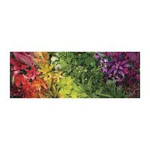 Load image into Gallery viewer, Plant Life Panoramic Puzzle - Tigertree