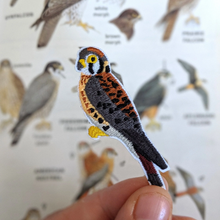 Load image into Gallery viewer, American Kestrel Patch