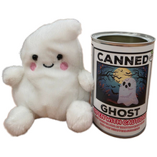Load image into Gallery viewer, Canned Ghost - Tigertree
