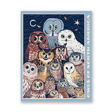 Load image into Gallery viewer, Owls of North America Puzzle
