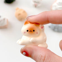 Load image into Gallery viewer, Cozy Cat Blind Box
