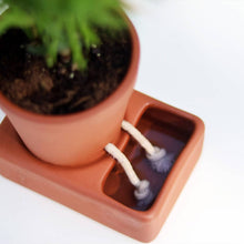 Load image into Gallery viewer, Self Care Planter - Tigertree
