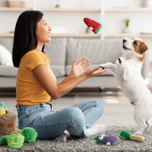 Load image into Gallery viewer, Grocery Bag Dog Squeaky Toy 15 pc
