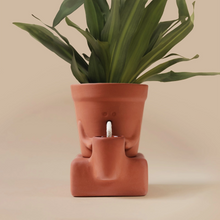 Load image into Gallery viewer, Thirsty Planter - Tigertree
