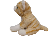 Load image into Gallery viewer, Pumpkin the Canned Orange Tabby Cat - Tigertree
