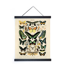 Load image into Gallery viewer, Magnetic Frame - Tigertree
