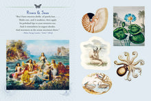 Load image into Gallery viewer, Mystical Earth Sticker Book
