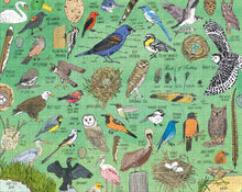 Load image into Gallery viewer, Nature Anatomy: Birds Puzzle - Tigertree

