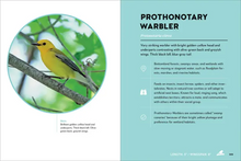 Load image into Gallery viewer, Birds of the Great Lakes

