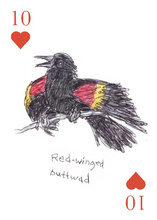 Load image into Gallery viewer, Field Guide to Dumb Birds Playing Cards
