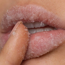 Load image into Gallery viewer, Poppy &amp; Pout Lip Scrub - Tigertree
