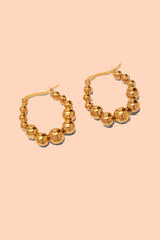 Load image into Gallery viewer, Elio Hoops - 18k Gold Plated - Tigertree
