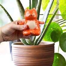 Load image into Gallery viewer, Yoga Cat Water Dispenser - Tigertree
