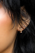 Load image into Gallery viewer, Flo Hoops 18K Gold Plated - Tigertree
