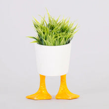 Load image into Gallery viewer, Small Duck Feet Planter - Tigertree
