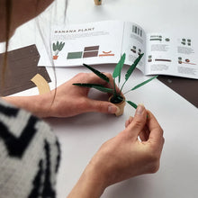 Load image into Gallery viewer, Paper Plants Kit - Tigertree
