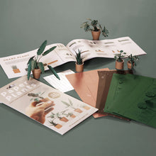 Load image into Gallery viewer, Paper Plants Kit - Tigertree
