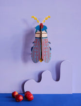 Load image into Gallery viewer, Striped Wing Beetle - Tigertree
