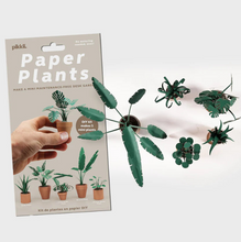Load image into Gallery viewer, Paper Plants Kit - Tigertree
