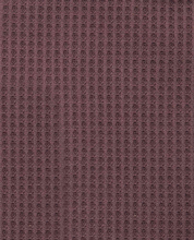Load image into Gallery viewer, Bitterroot Longsleeve Crew - Raisin
