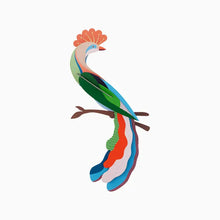 Load image into Gallery viewer, Meti Bird Kit - Tigertree
