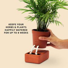 Load image into Gallery viewer, Self Care Planter - Tigertree
