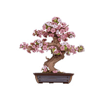 Load image into Gallery viewer, Wooden Puzzle: Sakura Bonsai - Tigertree
