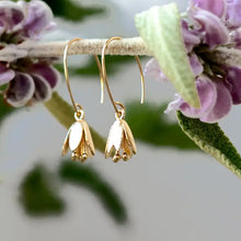 Load image into Gallery viewer, Courtenay Tulip Earrings - Tigertree
